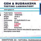 Nepali 4 Mukhi Rudraksha
