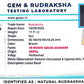 Nepali 10 Mukhi Gauri Shankar Rudraksha