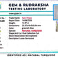 Natural Firoza (Turquoise) 14.97 CT – Certified Gemstone