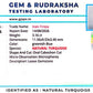 Natural Firoza (Turquoise) 3.16 CT – Certified Gemstone