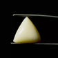 Natural White Coral Gemstone – The Gem of Strength, Vitality & Protection 9.35 CT