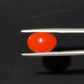 Red Natural Japanese Coral 5.11 CT – Certified Gemstone