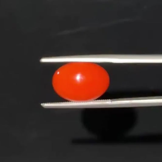 Red Natural Japanese Coral 5.11 CT – Certified Gemstone