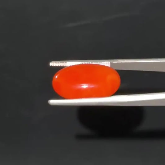 Red Natural Japanese Coral 7.25 CT – Certified Gemstone