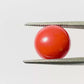 Natural Round Coral – The Gem of Strength, Vitality Protection 5.31 CT