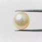 Natural Pearl (Moti) – The Gem of Purity, Elegance & Peace 8.31 CT