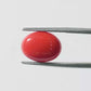 Red Coral Japanese – Natural Moonga for Strength 3.71 CT