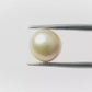 Natural Pearl (Moti) – The Gem of Purity, Elegance & Peace 5.51 CT