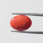 Red Coral Japanese – Natural Moonga for Strength 3.38 CT (Copy)