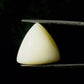 Natural White Coral Gemstone – The Gem of Strength, Vitality & Protection 17.33 CT
