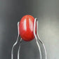 Natural Red Coral (Moonga) – Italy Origin – Certified & Untreated Gemstone for Mars Energy 4.03 CT