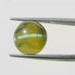 Natural Cat’s Eye Gemstone (Lehsunia) – Protection, Intuition & Ketu’s Power 8.86 CT