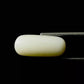 Natural White Coral Gemstone – The Gem of Strength, Vitality & Protection 8.00 CT