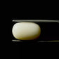 Natural White Coral Gemstone – The Gem of Strength, Vitality & Protection 7.20 CT
