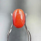 Natural Red Coral (Moonga) – Italy Origin – Certified & Untreated Gemstone for Mars Energy 3.90 CT