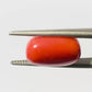 Natural Coral Gemstone – The Gem of Strength, Vitality & Protection 5.75 CT