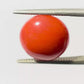 Natural Round Coral – The Gem of Strength, Vitality Protection 5.26 CT
