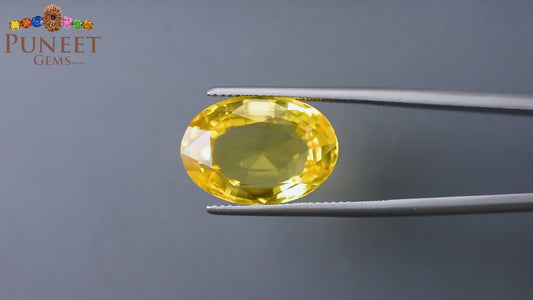 Natural Yellow Sapphire (Pukhraj) 13.74 Ct – Certified Premium Gemstone