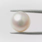 Natural Pearl (Moti) – The Gem of Purity, Elegance & Peace 10.43 CT