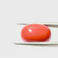 Natural Coral Gemstone – The Gem of Strength, Vitality & Protection 10.77 CT
