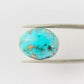 Firoza (Turquoise) Gemstone – The Stone of Protection & Positivity 8.63 CT