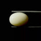 Natural White Coral Gemstone – The Gem of Strength, Vitality & Protection 6.12 CT