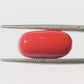 Natural Coral Gemstone – The Gem of Strength, Vitality & Protection 6.91 CT