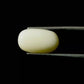 Natural White Coral Gemstone – The Gem of Strength, Vitality & Protection 5.17 CT