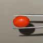 Red Natural Japanese Coral 9.44 CT – Certified Gemstone