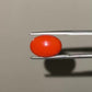 Red Natural Japanese Coral 4.98 CT – Certified Gemstone