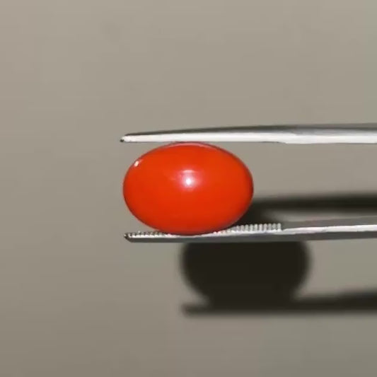 Red Natural Japanese Coral 4.98 CT – Certified Gemstone