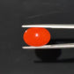 Red Natural Japanese Coral 6.72 CT – Certified Gemstone