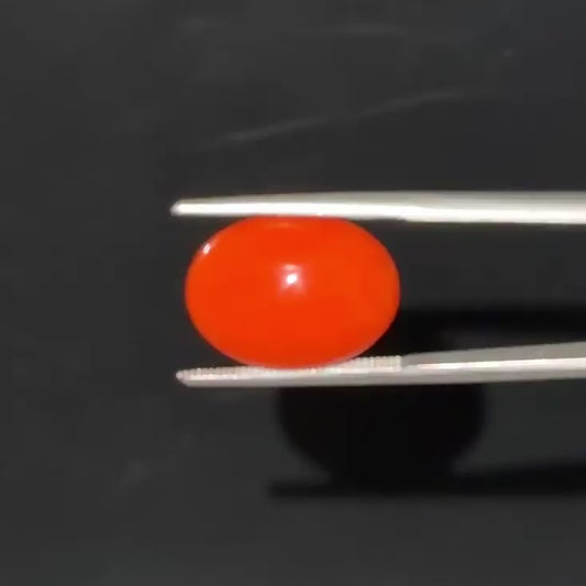 Red Natural Japanese Coral 6.72 CT – Certified Gemstone