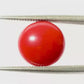 Natural Round Coral – The Gem of Strength, Vitality Protection 4.85 CT