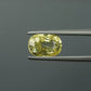 Natural Yellow Sapphire (Pukhraj) – Prosperity, Wisdom & Jupiter’s Blessing 4.54 CT