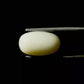Natural White Coral Gemstone – The Gem of Strength, Vitality & Protection 6.31 CT