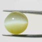 Natural Cat’s Eye Gemstone (Lehsunia) – Protection, Intuition & Ketu’s Power 15.48 CT