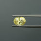 Natural Yellow Sapphire (Pukhraj) – Prosperity, Wisdom & Jupiter’s Blessing 2.65 CT