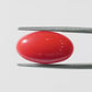 Red Coral Japanese – Natural Moonga for Strength 6.14 CT