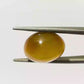 Indian Cat’s Eye Gemstone (Lehsunia) – Protection, Intuition & Ketu’s Power 10.73 CT