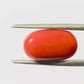 Natural Coral Gemstone – The Gem of Strength, Vitality & Protection 6.61 CT