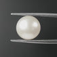Japanese Keshi Moti – Rare Natural Pearl of Purity, Prosperity & Elegance 8.66 CT