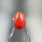 Natural Red Coral (Moonga) – Italy Origin – Certified & Untreated Gemstone for Mars Energy 3.87 CT