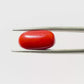 Natural Coral Gemstone – The Gem of Strength, Vitality & Protection 6.49 CT