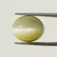 Indian Cat’s Eye Gemstone (Lehsunia) – Protection, Intuition & Ketu’s Power 6.94 CT