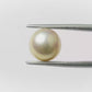 Natural Pearl (Moti) – The Gem of Purity, Elegance & Peace 5.30 CT