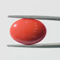 Red Coral Japanese – Natural Moonga for Strength 6.63 CT