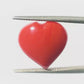 Natural Heart Coral – The Gem of Strength, Vitality & Protection 4.82 CT