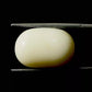 Natural White Coral Gemstone – The Gem of Strength, Vitality & Protection 15.94 CT