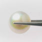 Natural Pearl (Moti) – The Gem of Purity, Elegance & Peace 18.47 CT